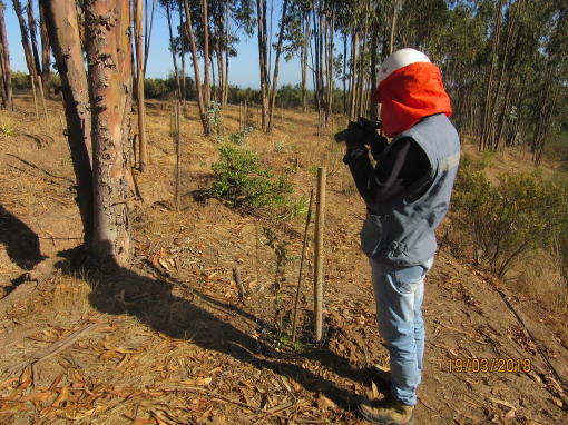 Rescate y Relocalización de Fauna