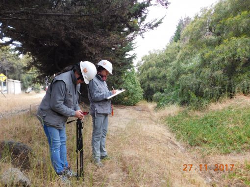 Microrruteo de Flora Bajo Zona de Influencia