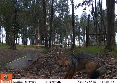 M2E154A1L211-135.4160003-135.4160003