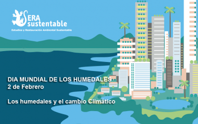 Actividad Día Mundial del Humedal 2019