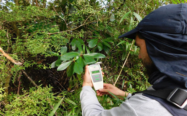 Eficiencia fotosintética en ERA Sustentable
