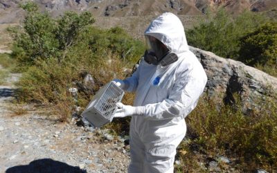 Medidas y protocolos de Bioseguridad de ERA Sustentable